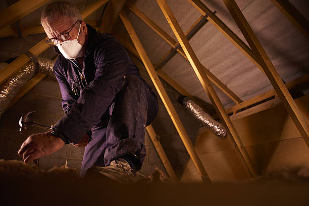 Professional Insulation Contractor in Cornelia, GA